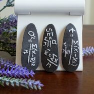 embroidered hair clips